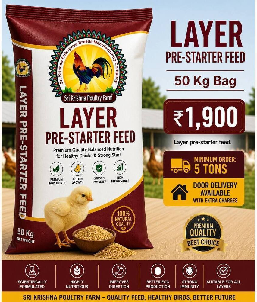 Layer Pre-Starter Feed 50 kg