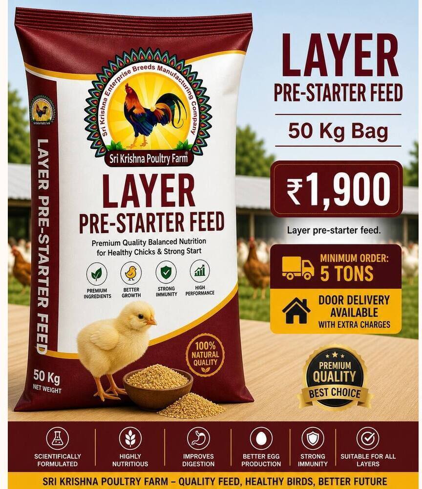Layer Pre-Starter Feed 50 kg