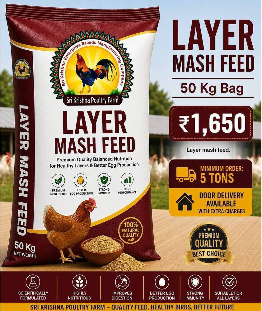Layer Mash Feed 50 kg