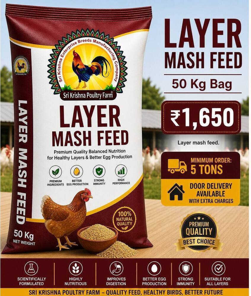 Layer Mash Feed 50 kg