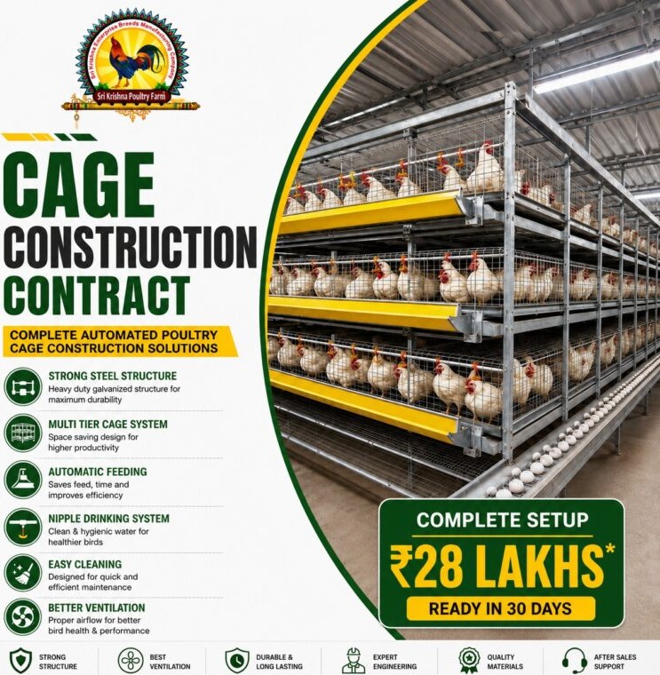 Cage Construction Contract