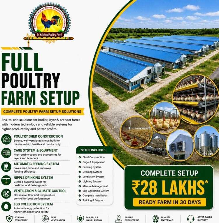 Full Poultry Farm Setup