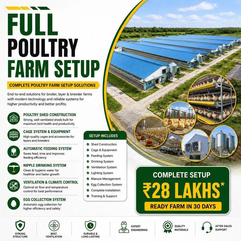 Full Poultry Farm Setup