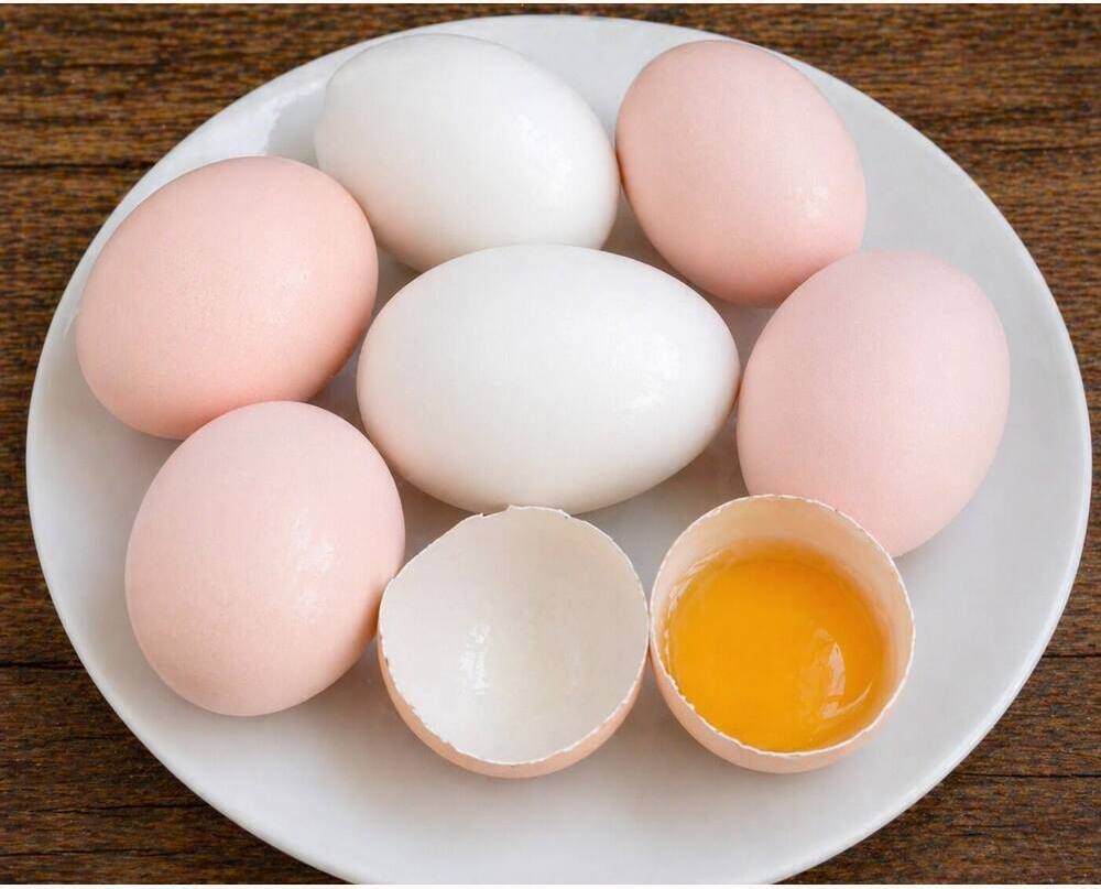Pakistan Fighter Eating Eggs
