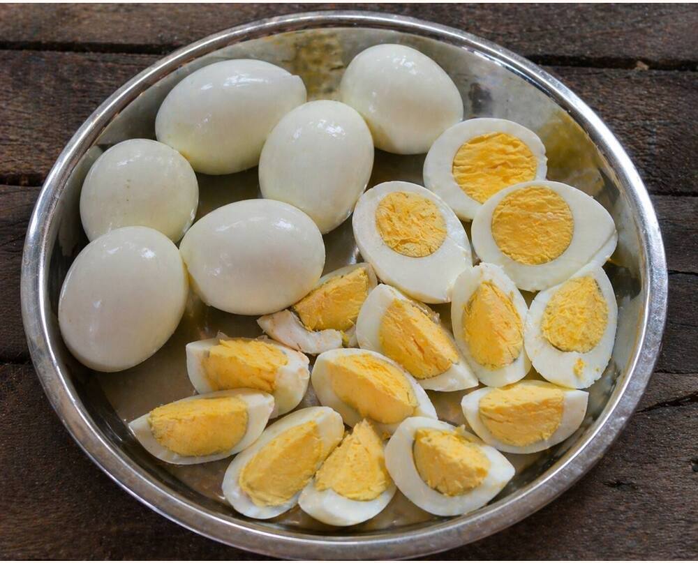Piela Aseel Eating Eggs