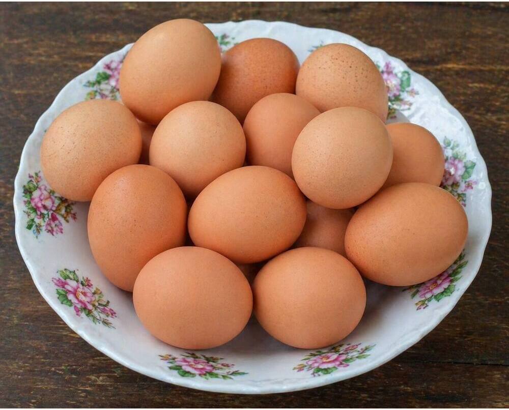 SRS Eating Eggs