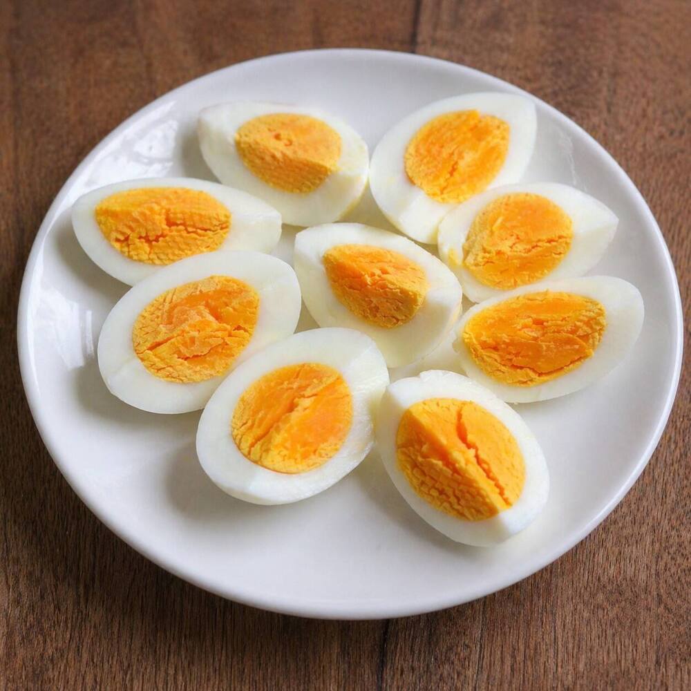 Vanaraja breed Eating Eggs