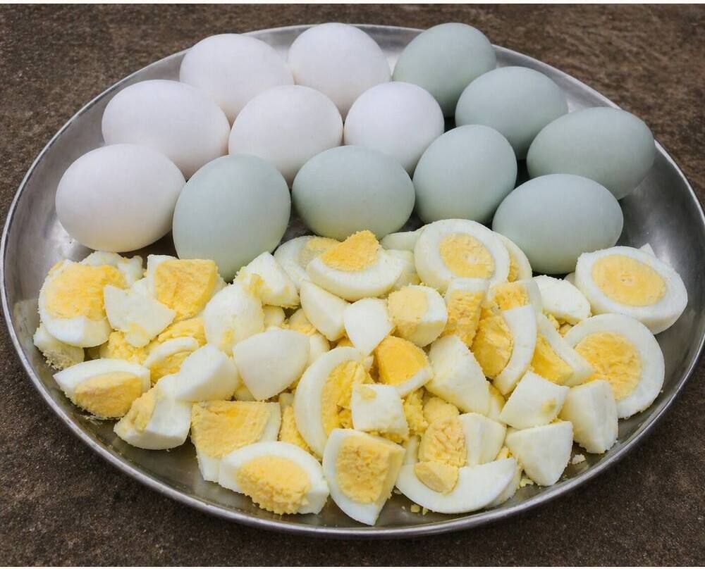 Polish Cap Eating Eggs