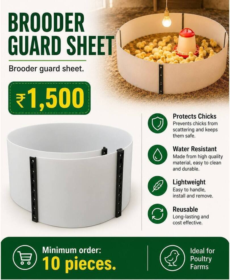 Brooder Guard Sheet