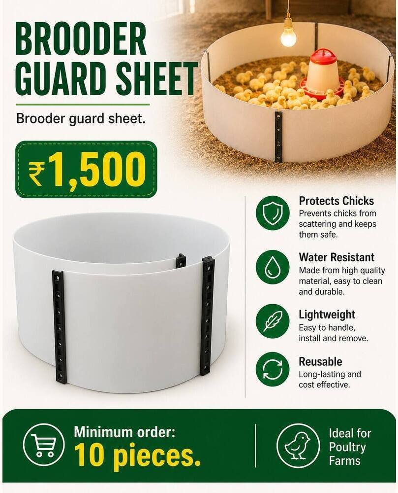 Brooder Guard Sheet