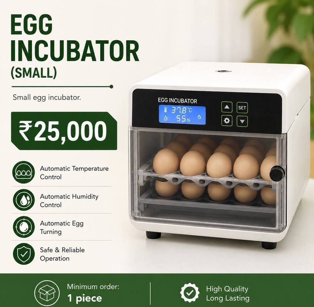Egg Incubator (Small)