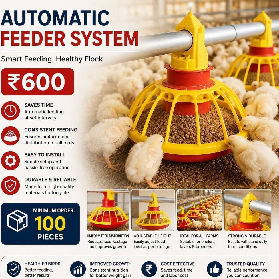 Automatic Feeder System