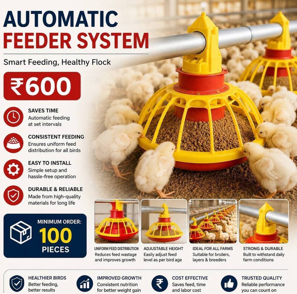 Automatic Feeder System