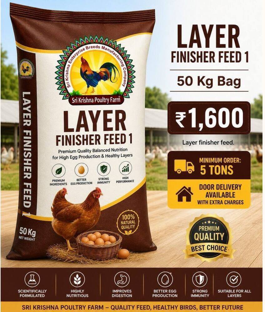 Layer Finisher Feed 1 50 kg