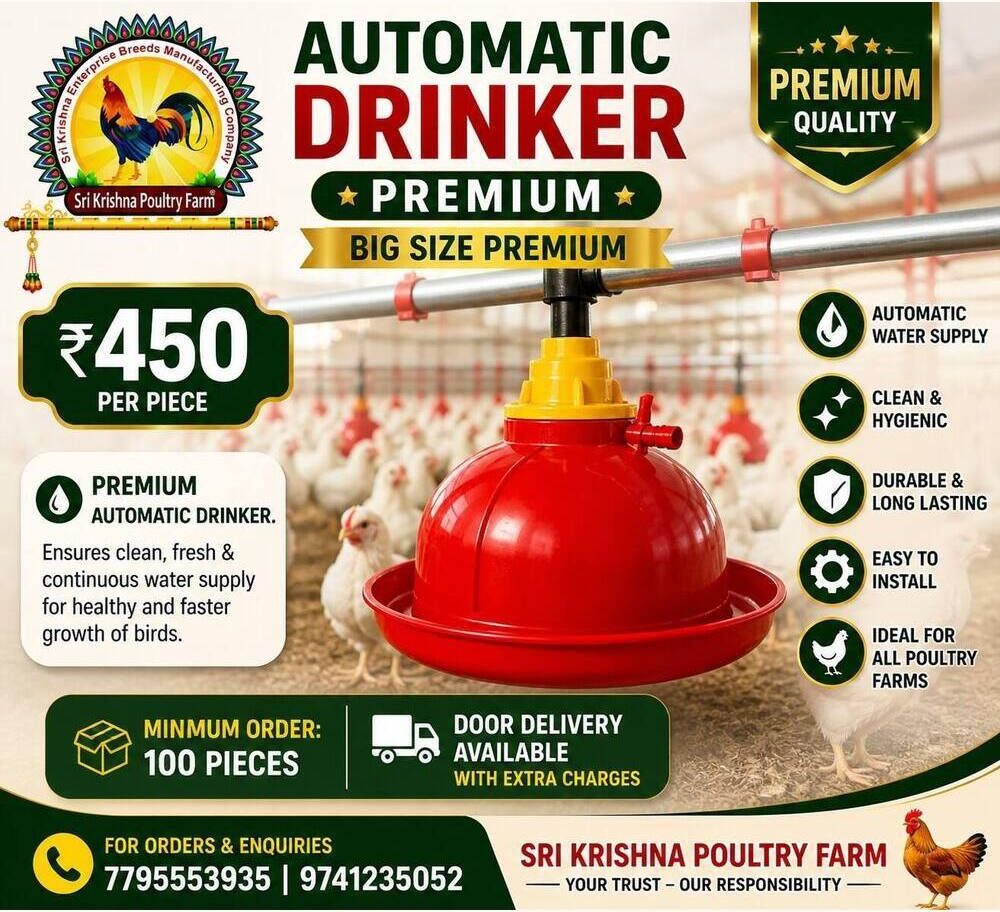 Automatic Drinker (Big size Premium)