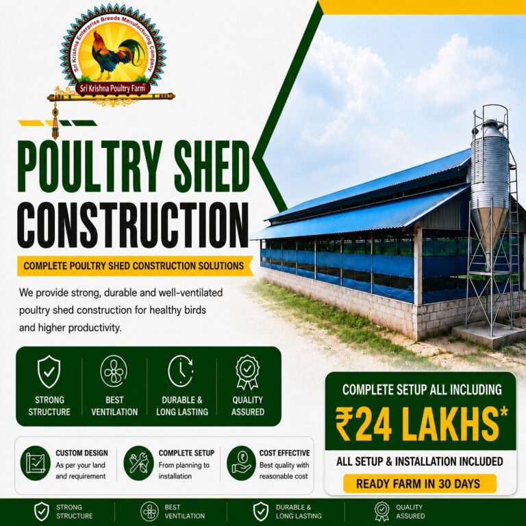 Poultry Shed Construction