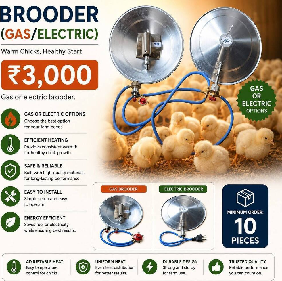 Brooder (Gas/Electric)