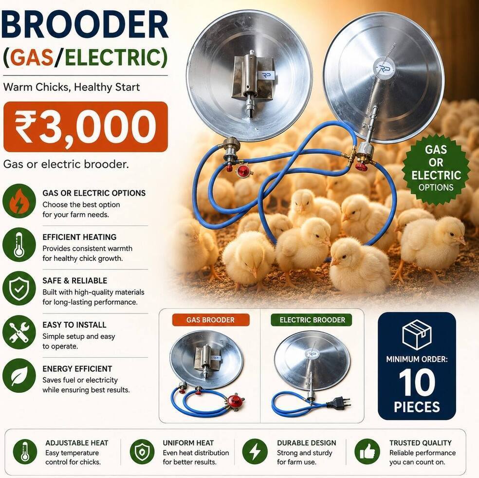 Brooder (Gas/Electric)
