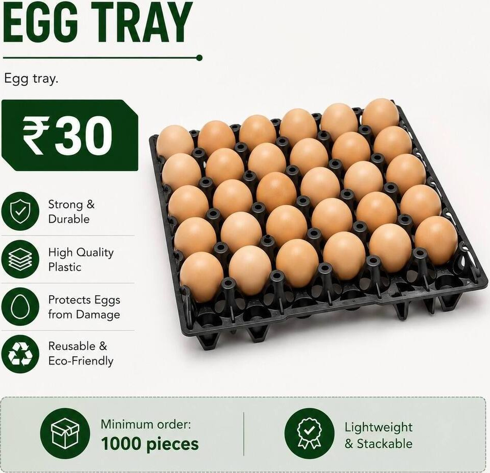 Egg Tray