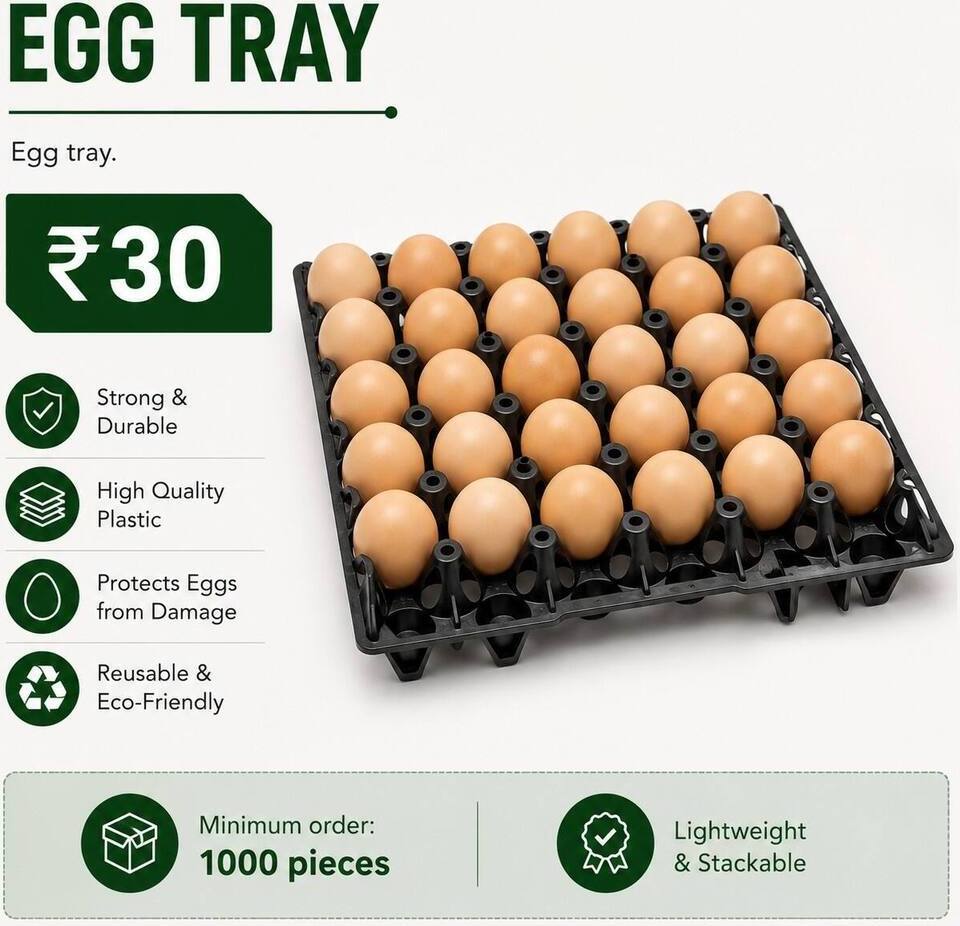 Egg Tray