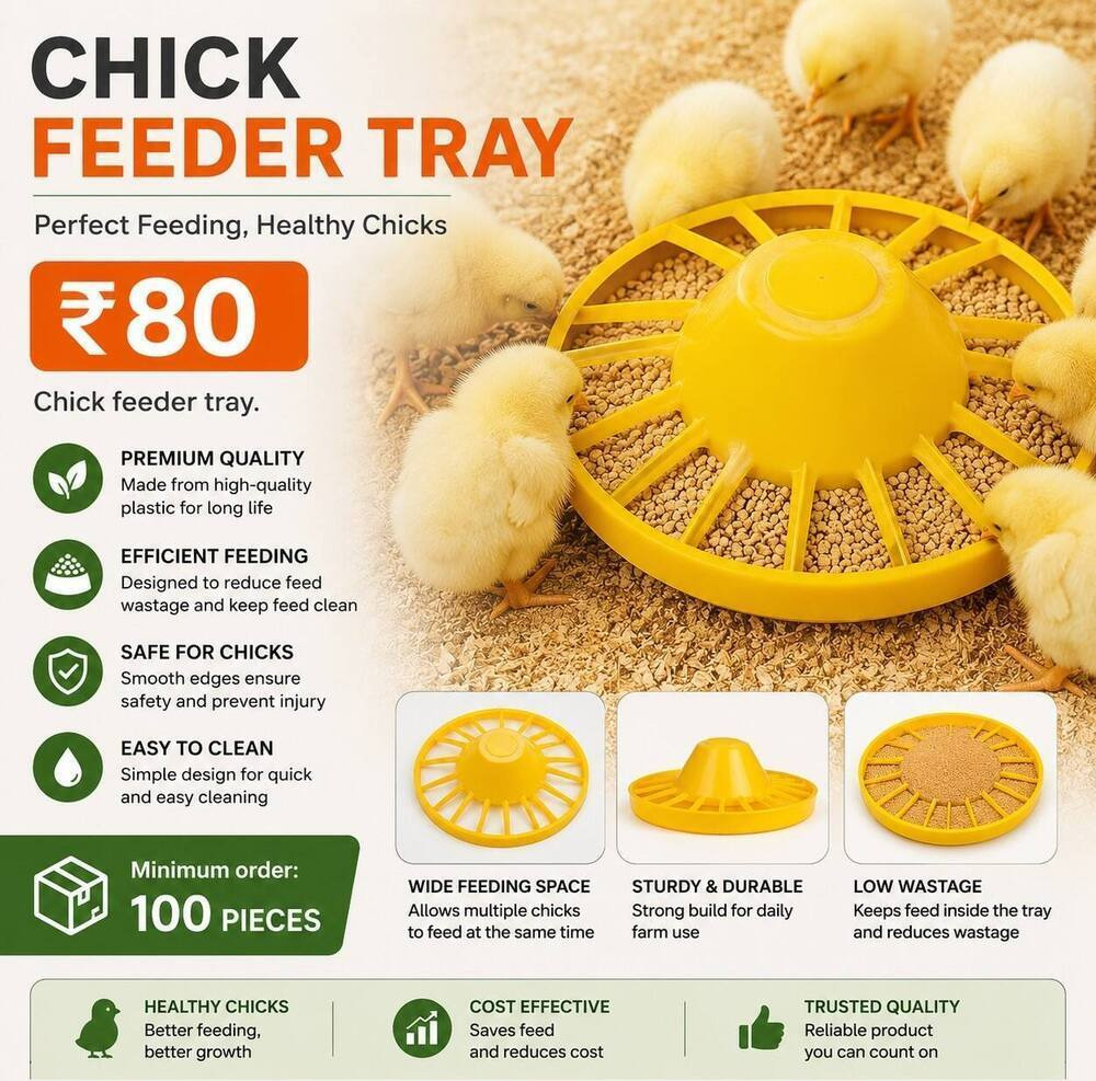 Chick Feeder Tray