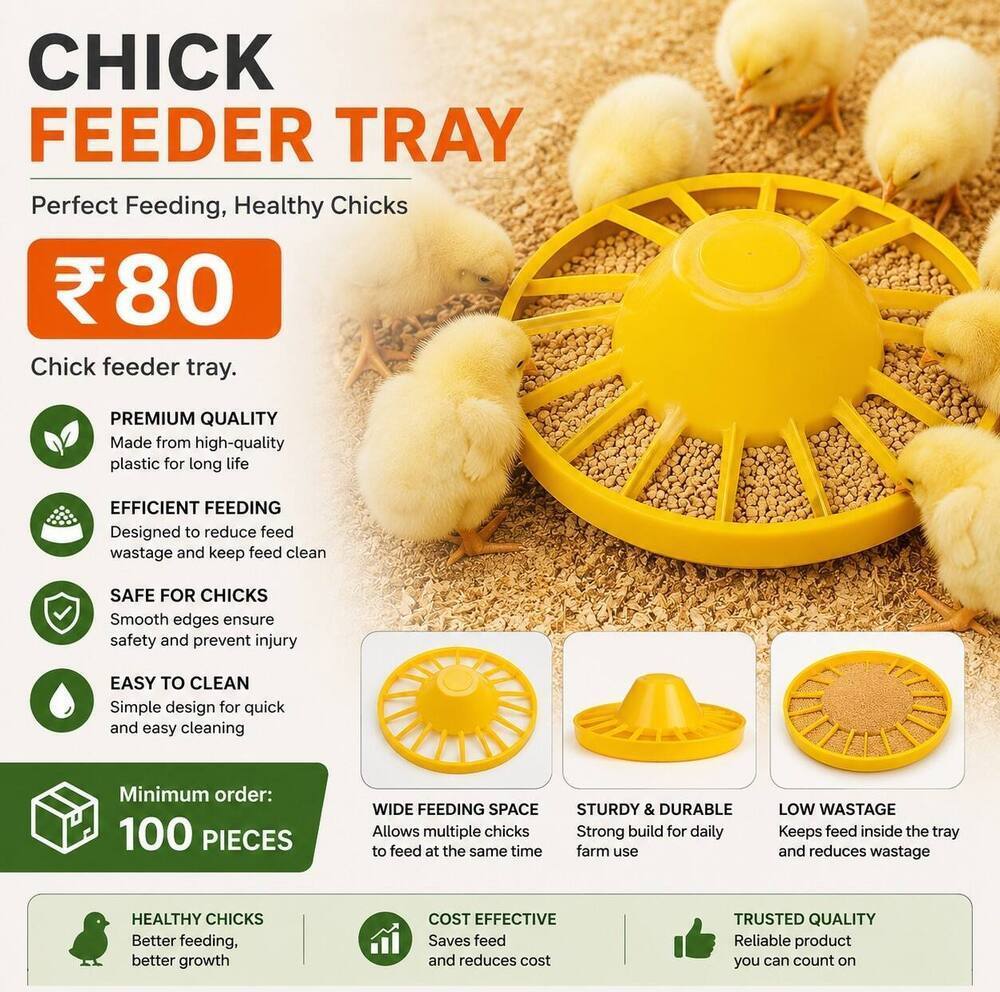 Chick Feeder Tray