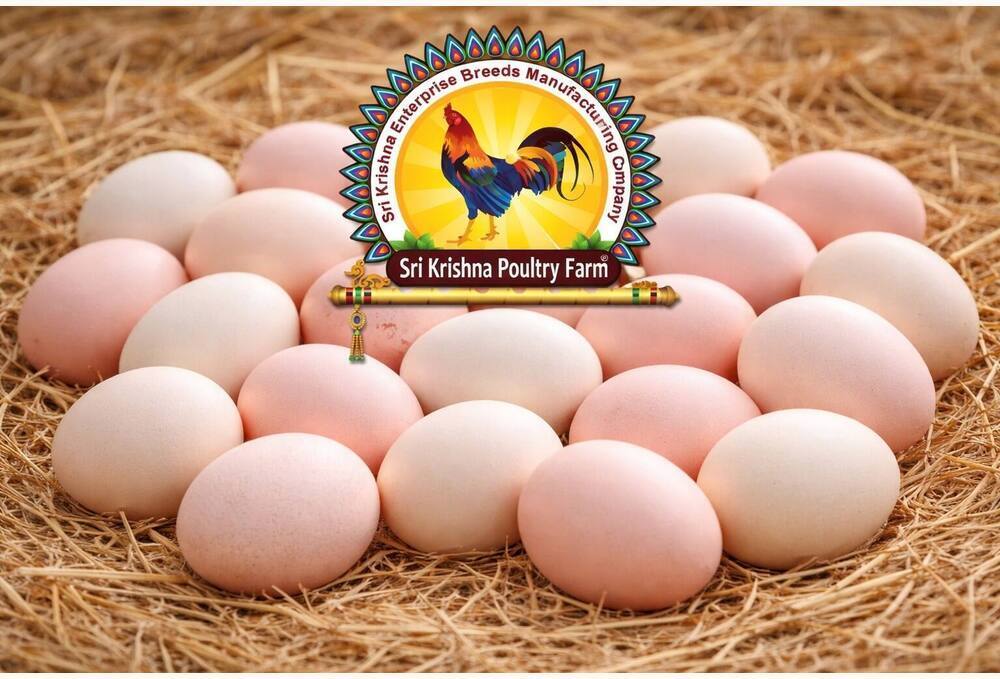 Sonali Chicken Hatching Eggs