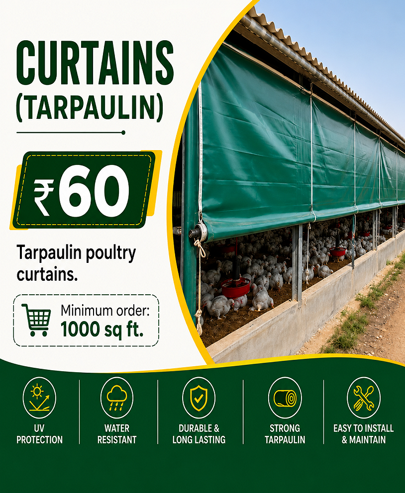 Curtains (Tarpaulin)