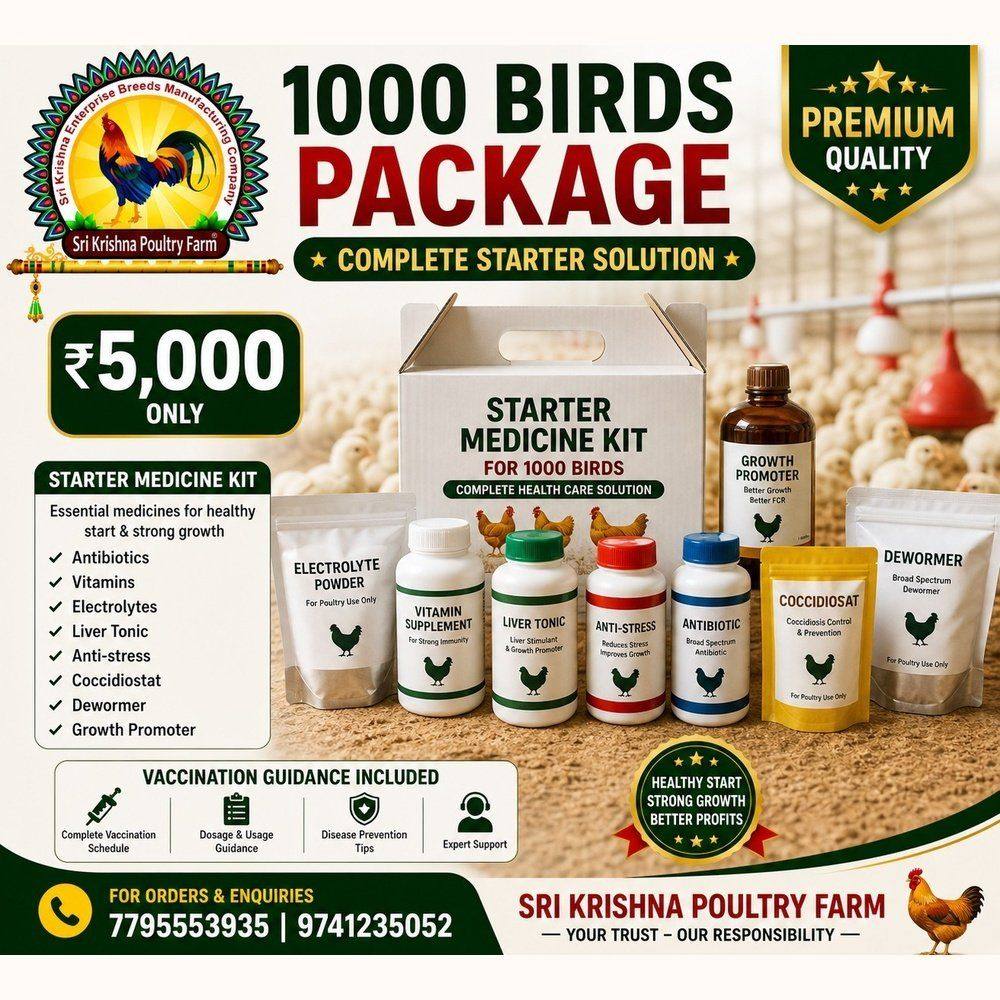 1000 Birds Starter Medicine Kit – Complete Poultry Solution