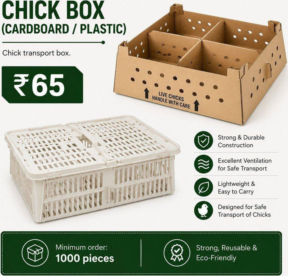 Chick Box (Cardboard/Plastic)