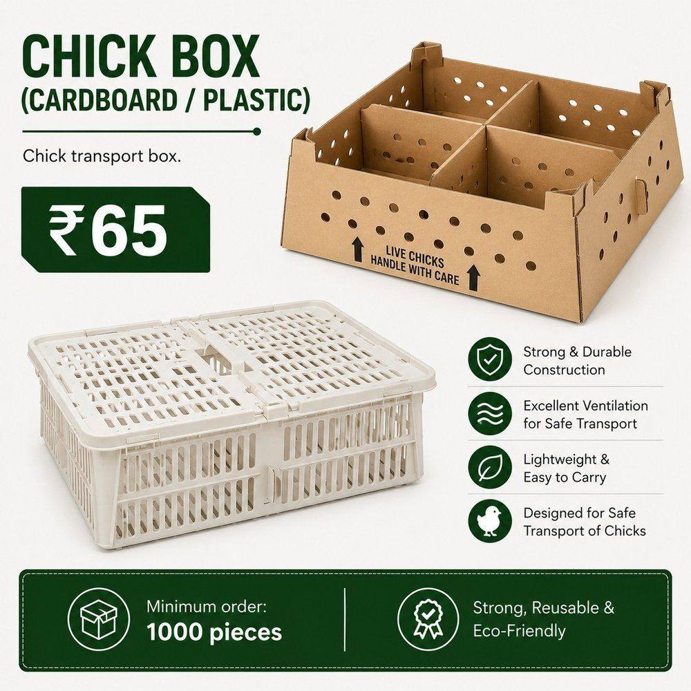 Chick Box (Cardboard/Plastic)