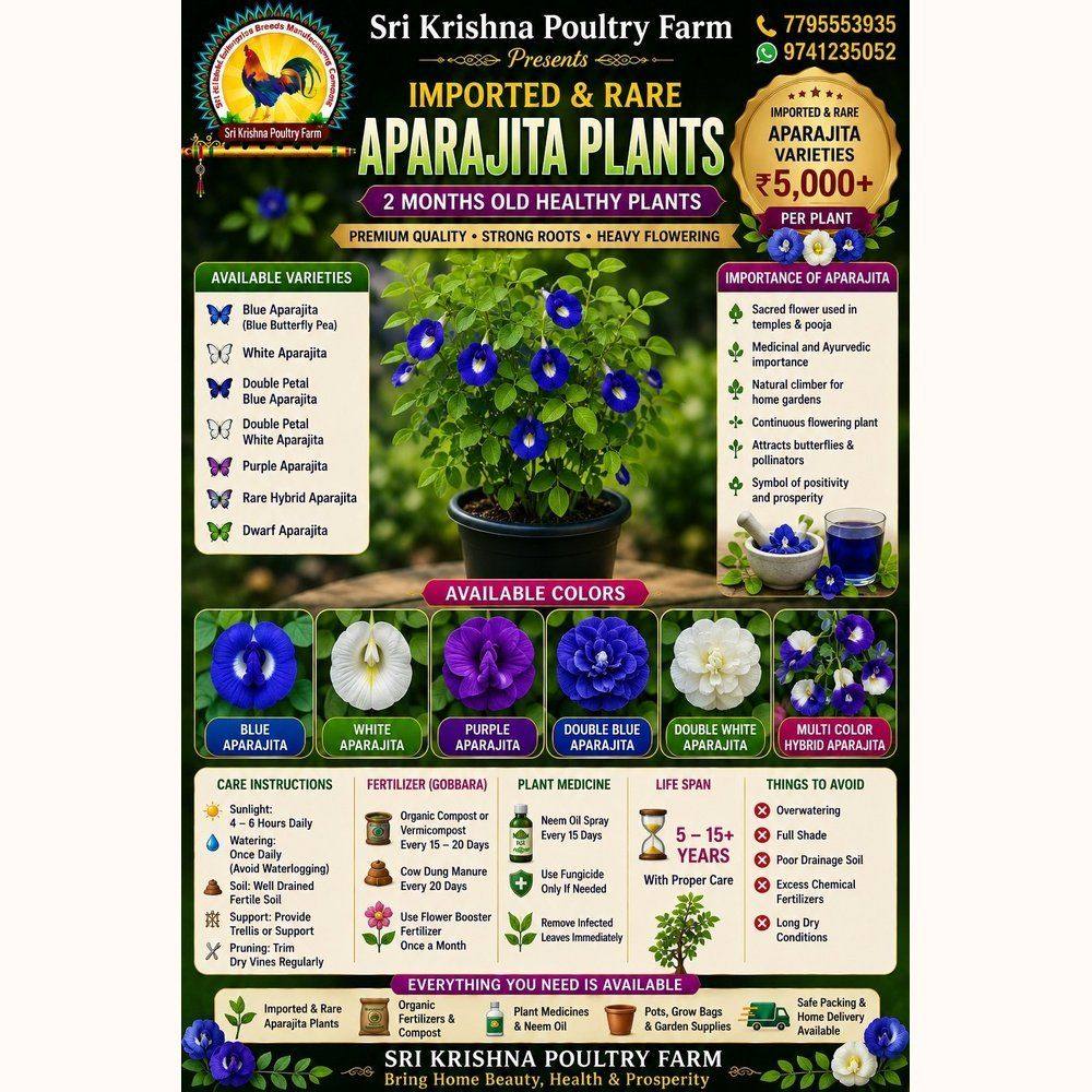 Aparajita