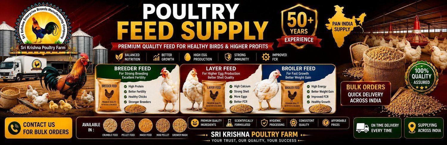 Poultry Feed Supply