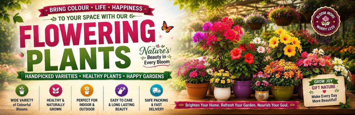 Flower Plants