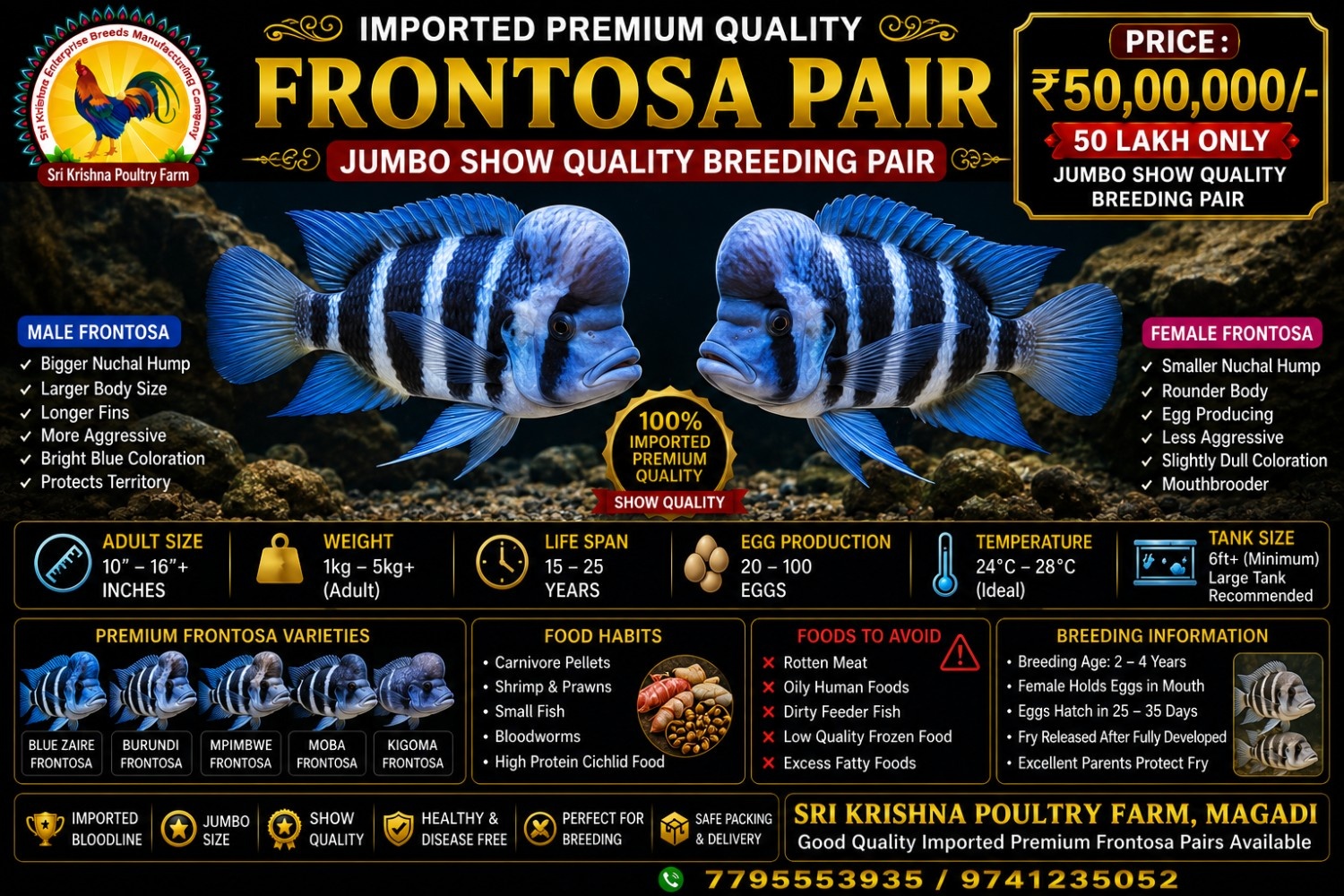 Frontosa