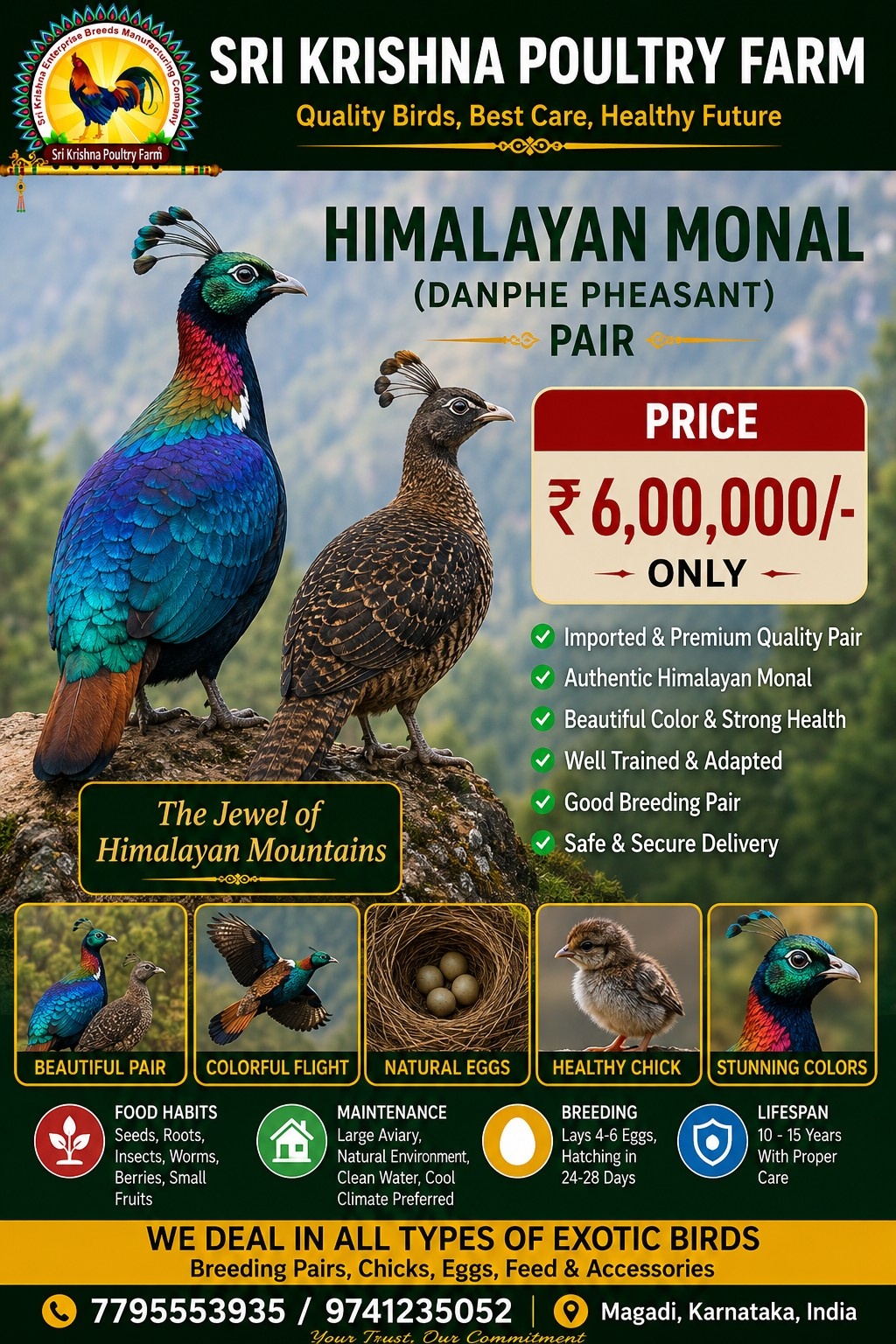 Himalayan Monal