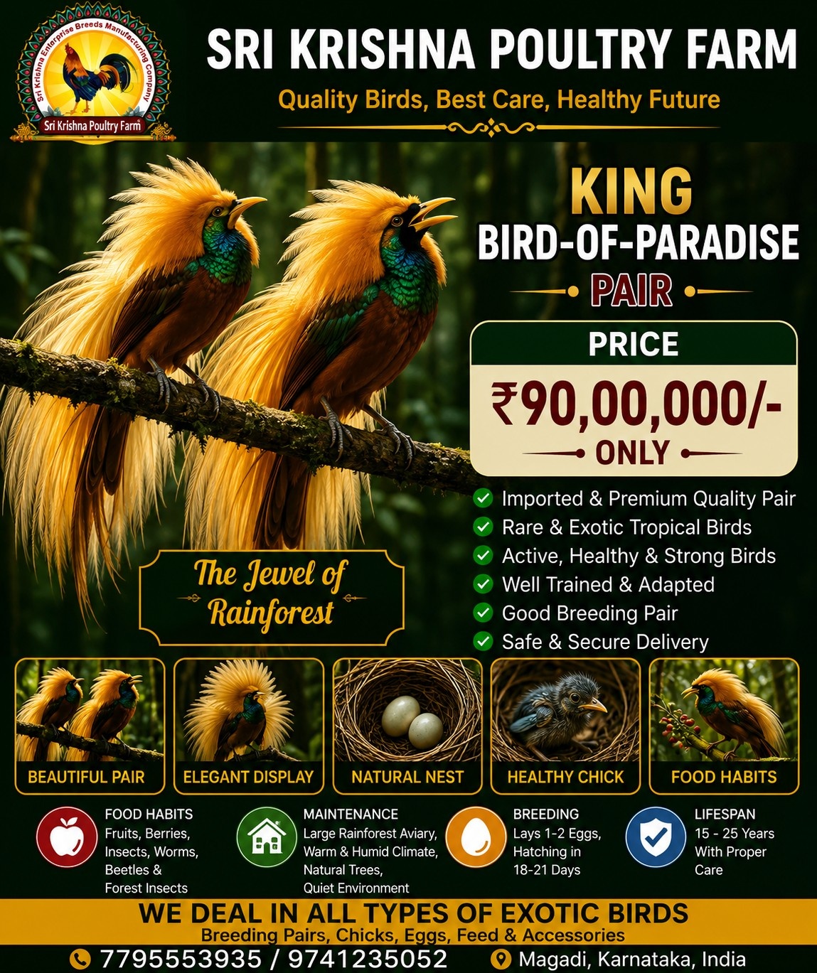 King Bird-of-Paradise
