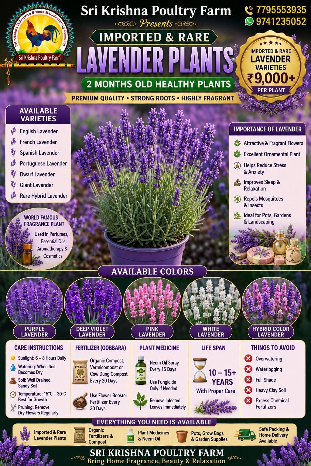 Lavender