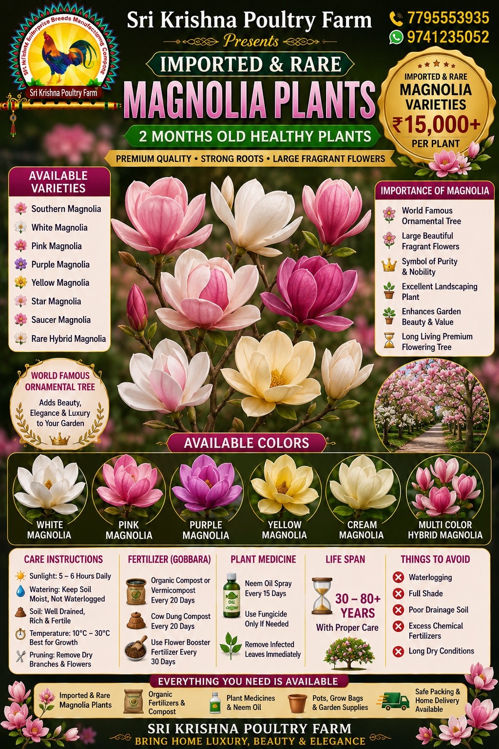 Magnolia