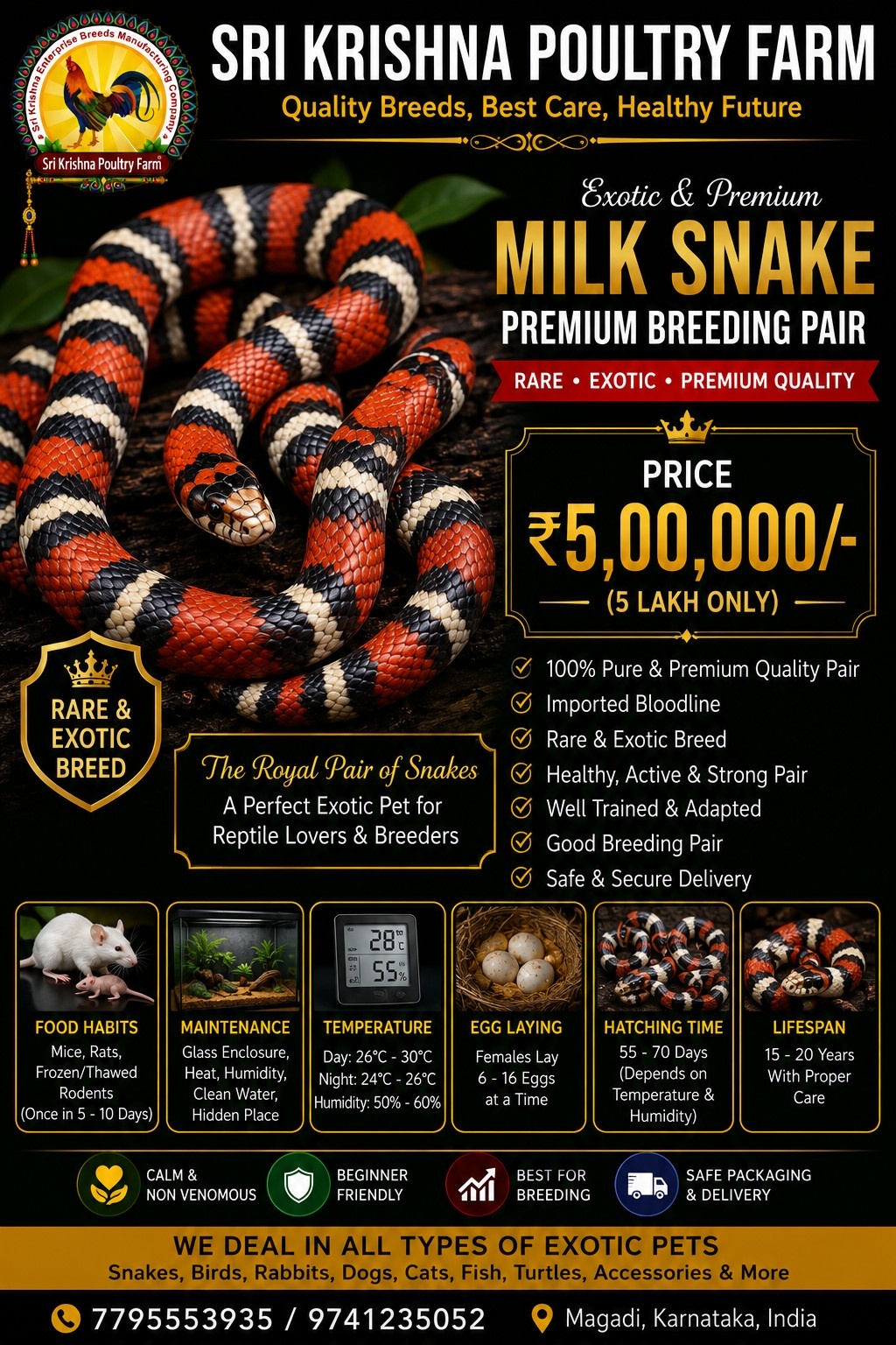Milk Snake