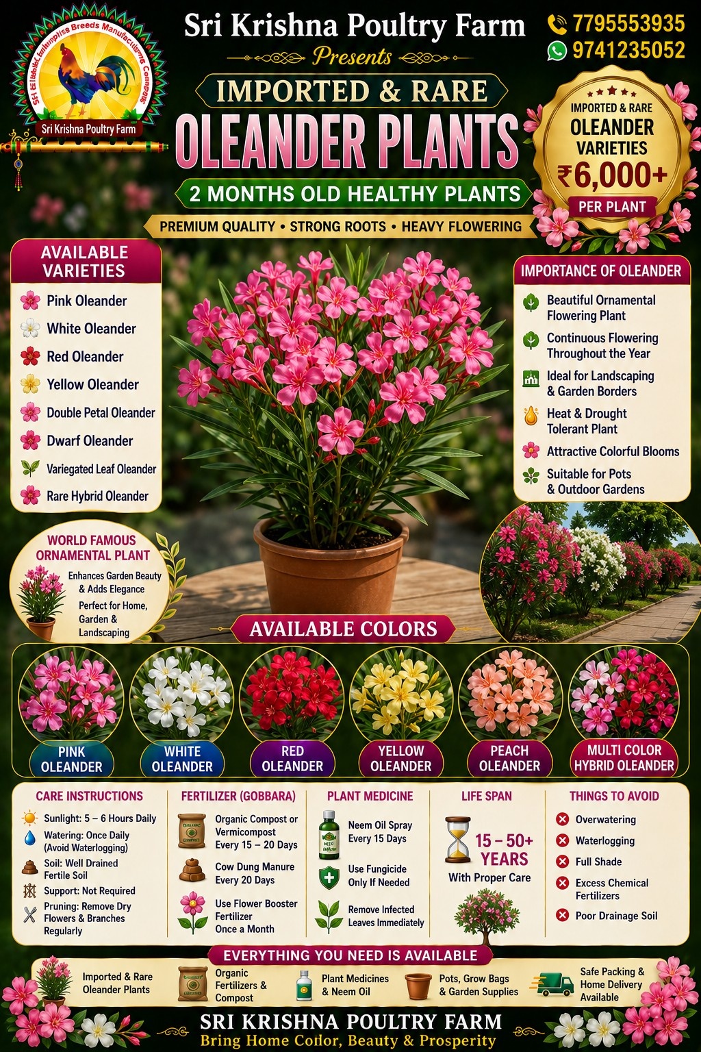 Oleander