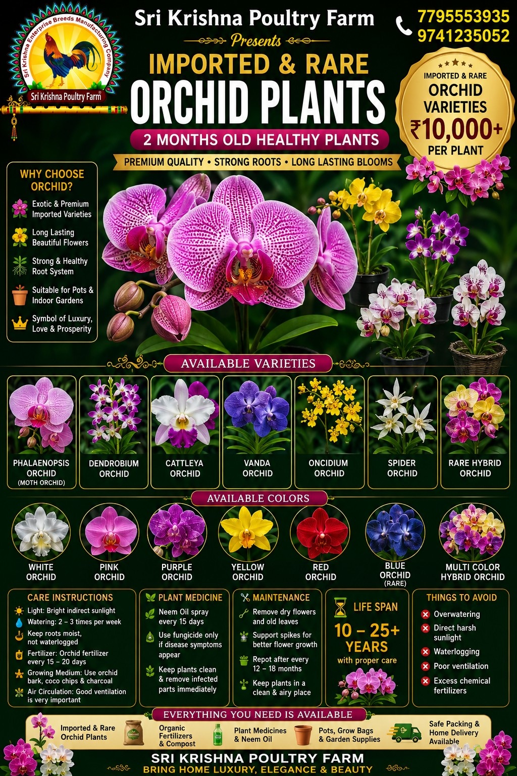 Orchid
