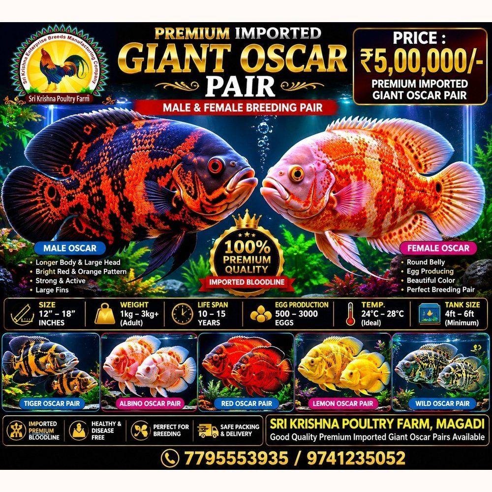 Oscar Fish