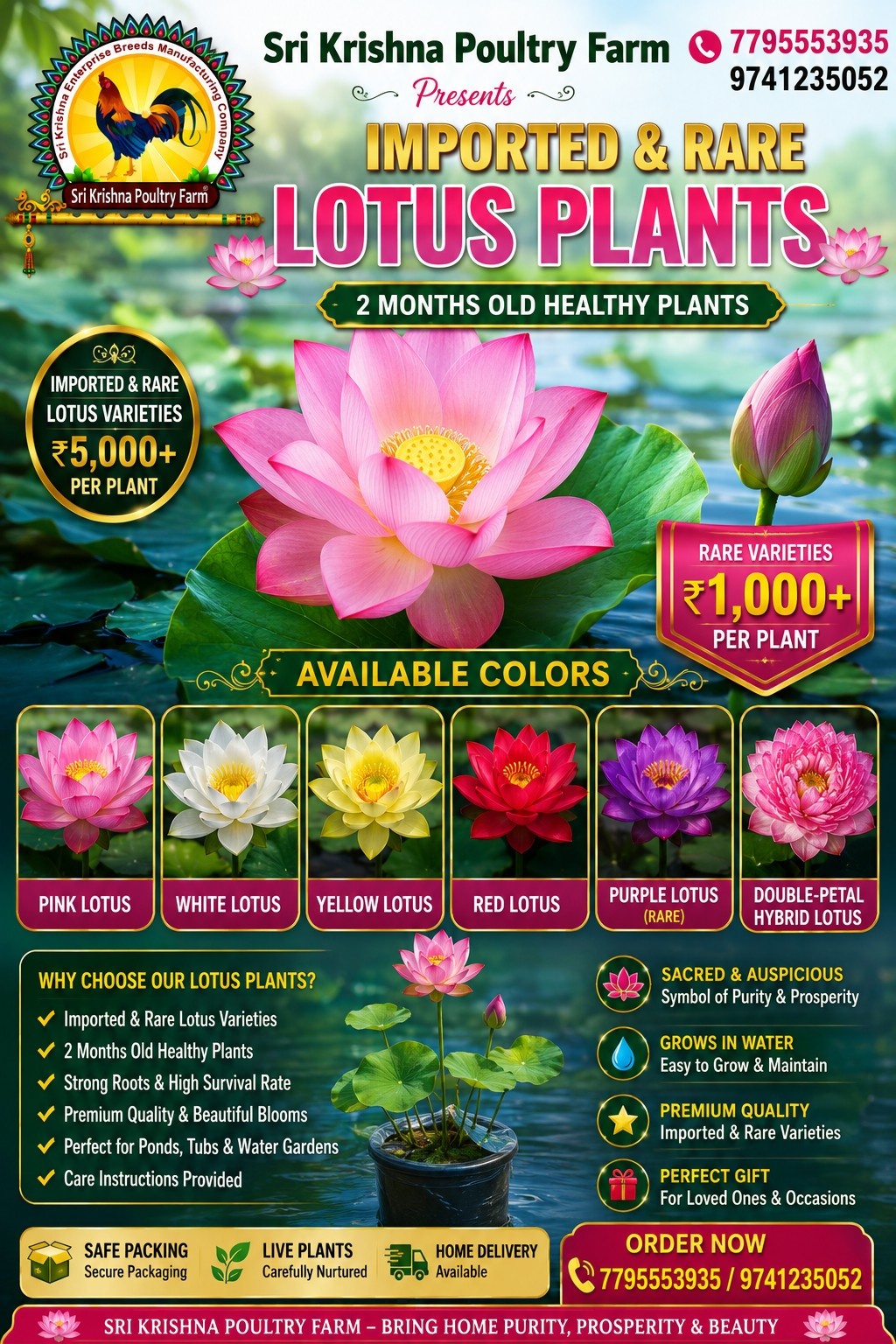 Rare Lotus