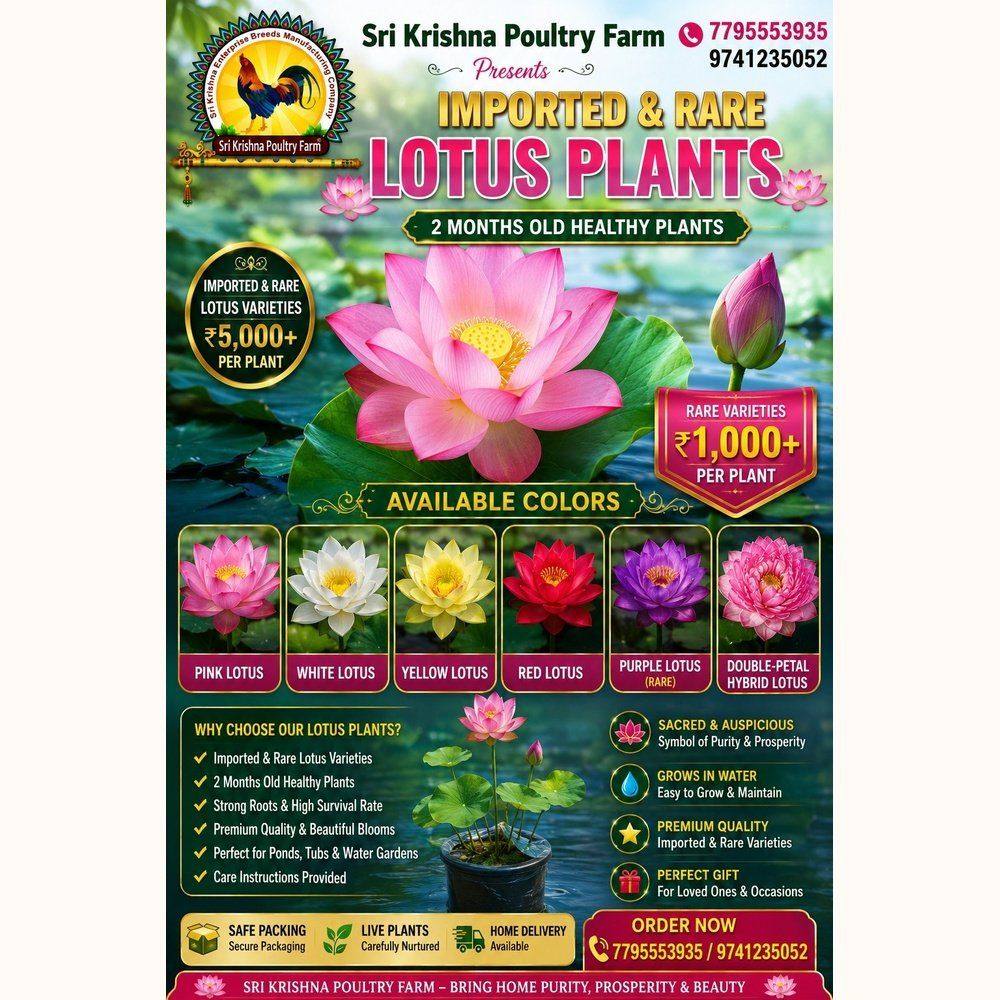 Rare Lotus