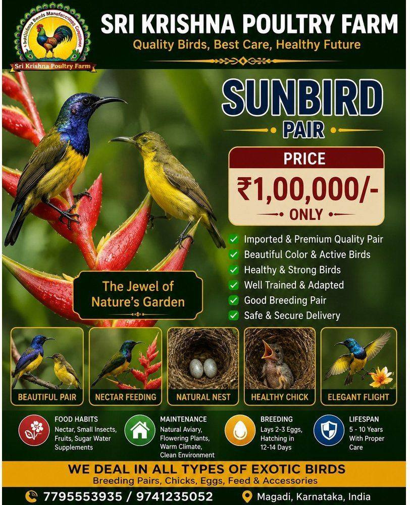 Sunbird