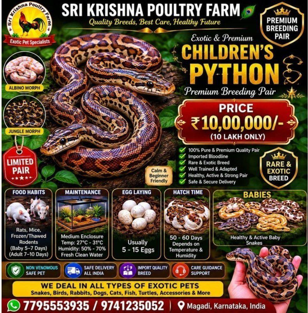 Children’s Python