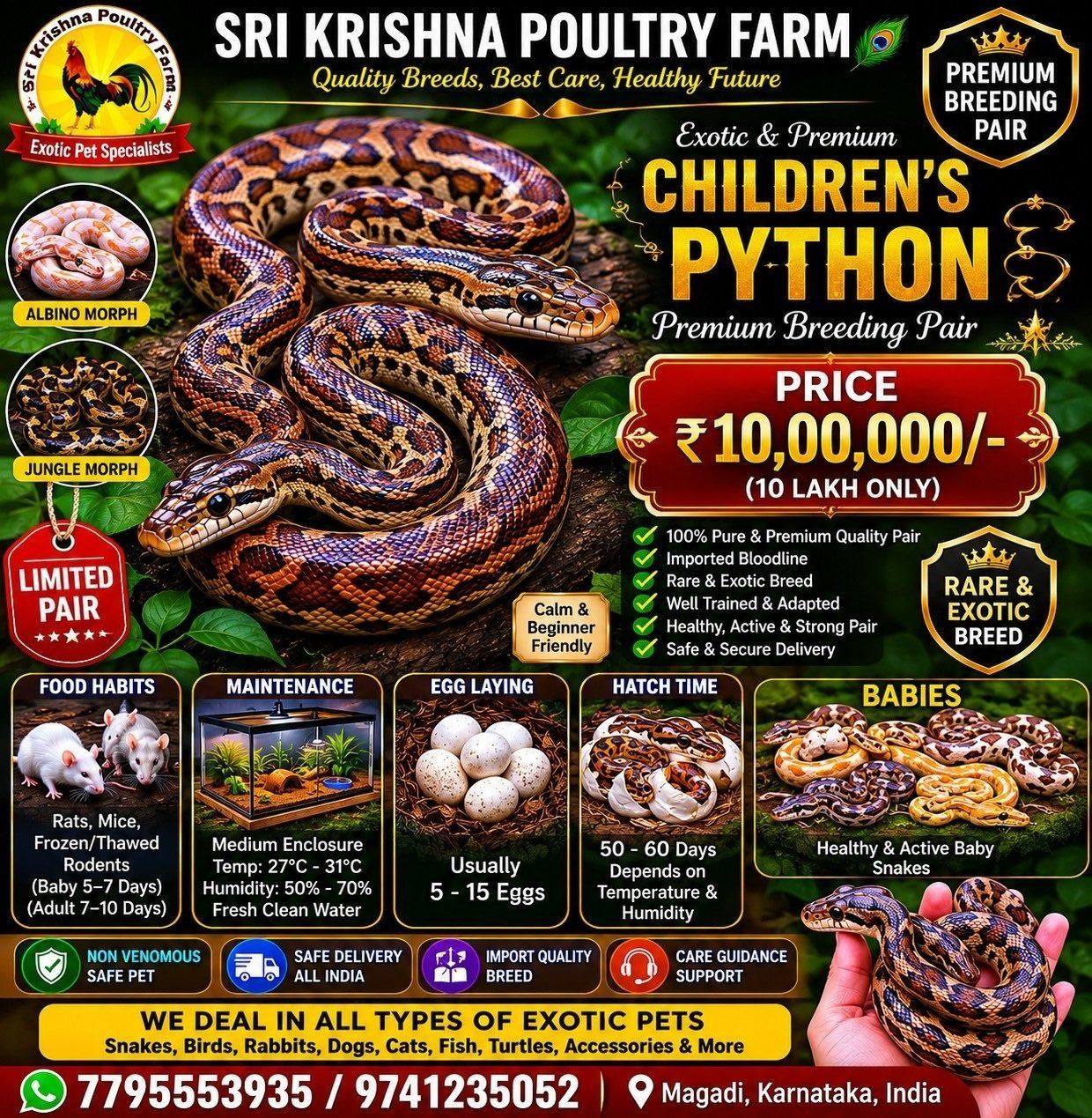 Children’s Python