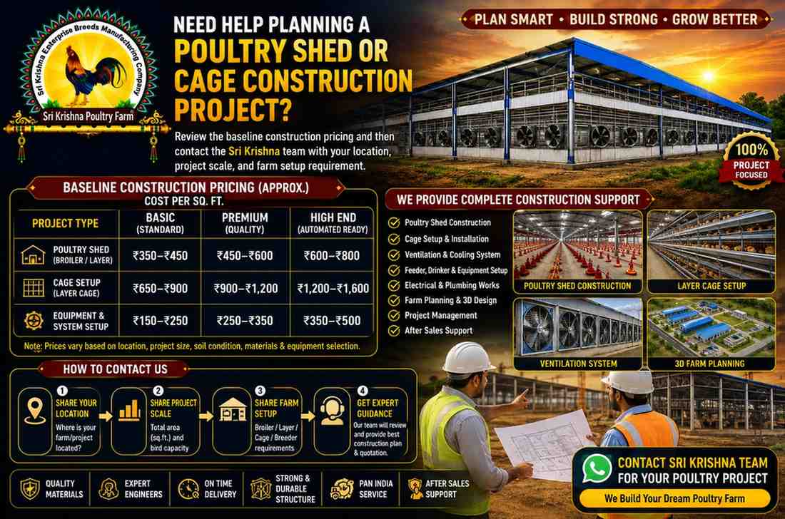 Poultry Farm Construction