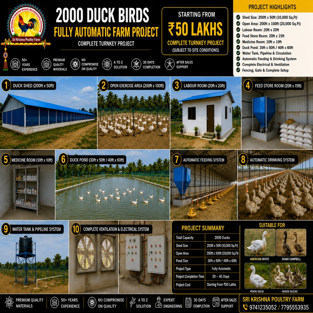 Duck Farm Construction